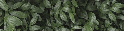 Фартук для кухни «Ботанический сад»,  ХДФ с у/ф печатью  ,    ,  610*2440*3 sppr5VVTtoAR122-2186 (68747)