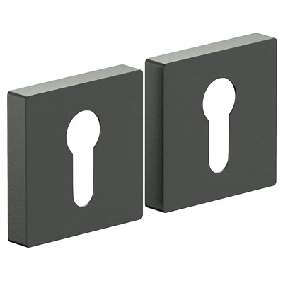 Накладка AS-6CL SGraphite sp2510BR_047-7556