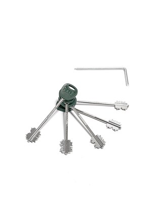 Ключи для перекодировки замков Kale 472 LR/476 LR 75 мм (5 шт.) sp2510BR_151-0326