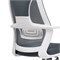 Компьютерное кресло Golem dark gray / white 15332-mwdvl