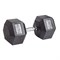 Гантель гексагональная обрезиненная PROFI-FIT 42,5 кг арт-nnkqvhgqgs6u-tmzspr