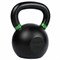 Гиря тренировочная PROFI-FIT 24 кг cc81e111-254b-11ee-baad-00155d019500-tmzspr