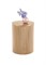 Стол журнальный Halmar WOODY-S (натуральный) ms2601SIGHAL_V-CH-WOODY-S-LAW
